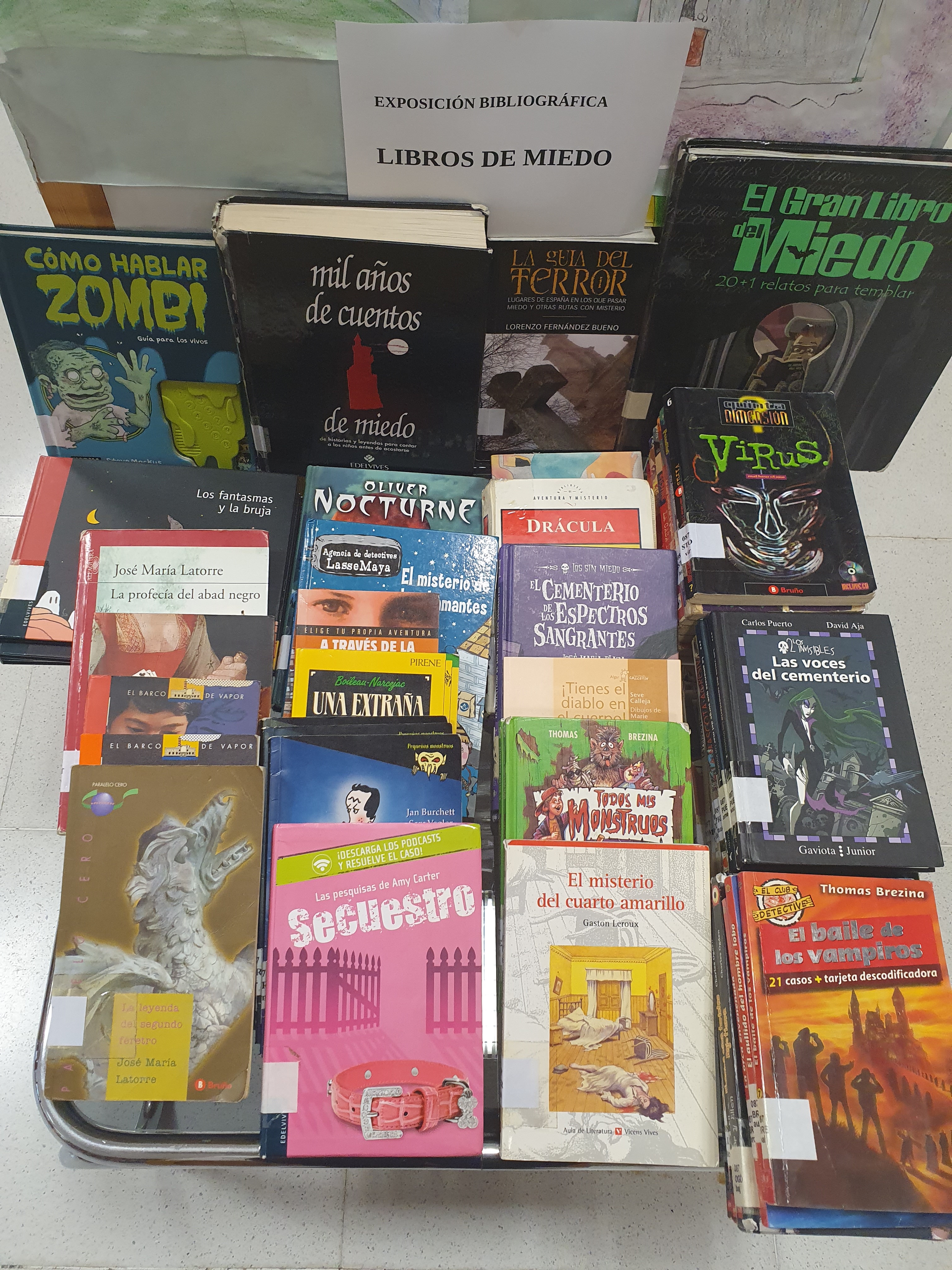 Exposici�n bibliogr�fica de libros de miedo 